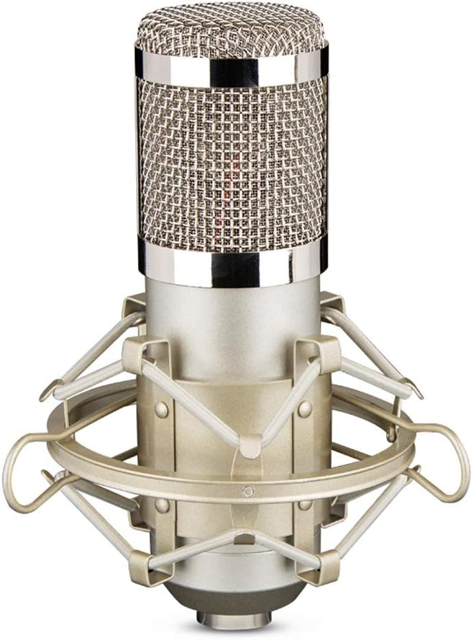 WDSD Condenser Recording Studio Microphone for Broadcasting Cardioid Directional Picking Can Provide Clear Recording Effects