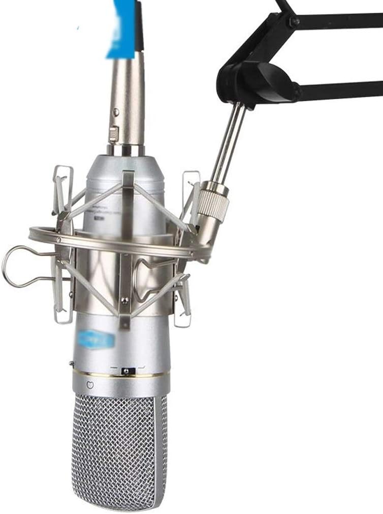 GGRBH Professional FET Condenser Microphone Review