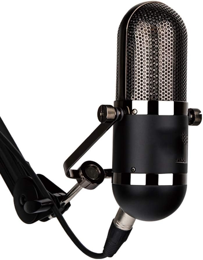 JYXDKD Wired Microphone Professionnel Recording Studio Mic for Broadcasting Station Stage